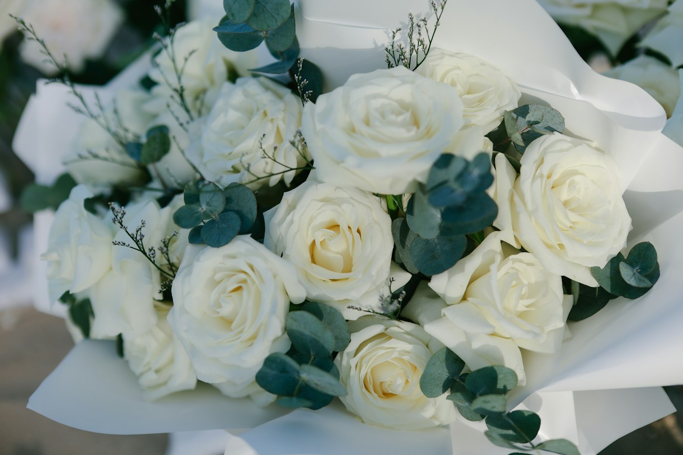 White roses and eucalyptus